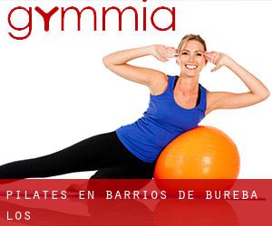 Pilates en Barrios de Bureba (Los)