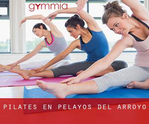 Pilates en Pelayos del Arroyo