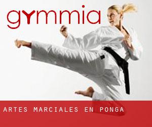 Artes marciales en Ponga