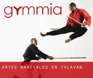 Artes marciales en Talaván