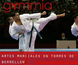 Artes marciales en Torres de Berrellén