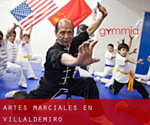 Artes marciales en Villaldemiro