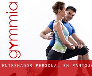 Entrenador personal en Pantoja