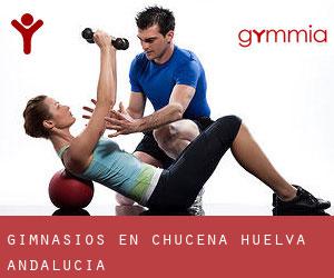 gimnasios en Chucena (Huelva, Andalucía)