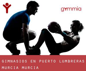 gimnasios en Puerto Lumbreras (Murcia, Murcia)