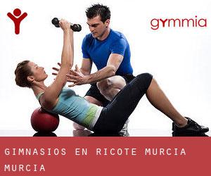 gimnasios en Ricote (Murcia, Murcia)